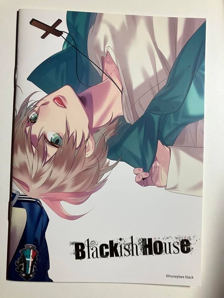 ブラッキッシュハウス 設定資料集 Z Blackish house side z 設定資料集