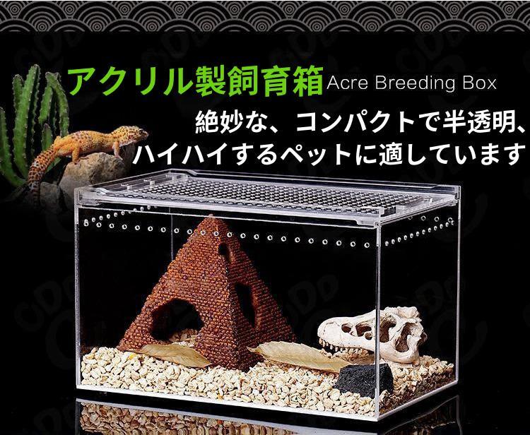 Amazon | RoBeKaU レプタイルボックス 爬虫類 飼育ケース 虫かご 大