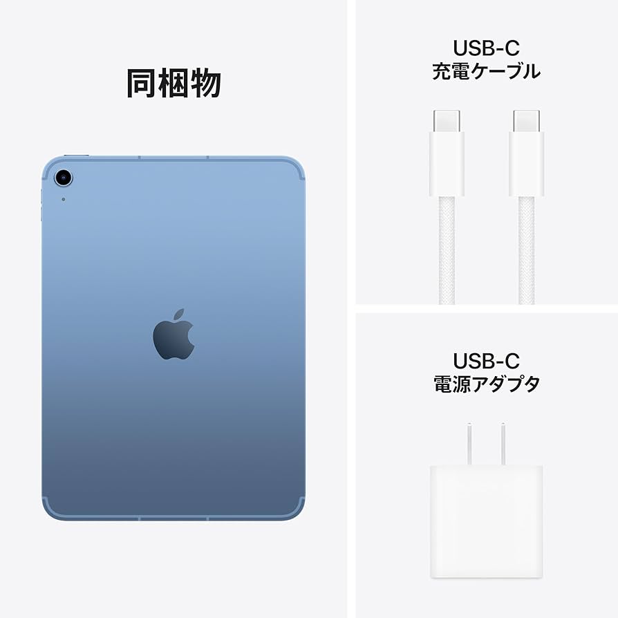 iPad 第11世代 A16 Wi-Fi 256GB ブルー Wi-Fi iPad Wi-Fiモデル 256GB