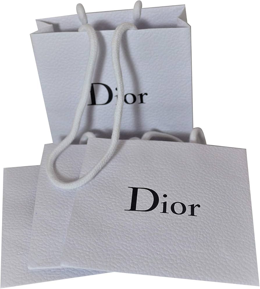 Dior シルバーボールペン ロゴ入り ショッパー 保存袋付き Dior