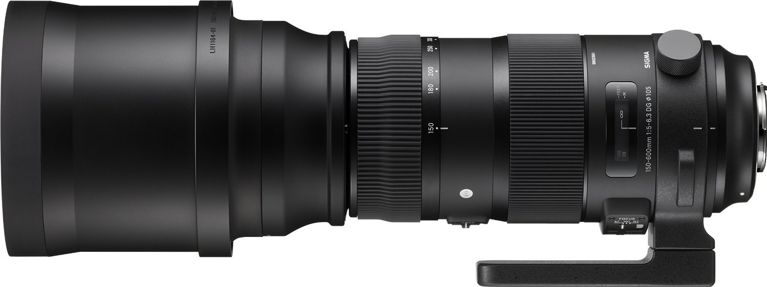Amazon.com : Sigma 150-600mm 5-6.3 Sports DG OS HSM Lens for Canon
