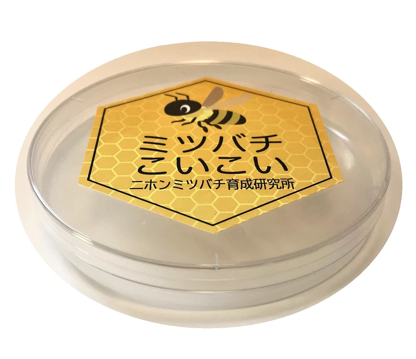 Amazon.co.jp: 誘引ルアー ニホンミツバチ専用 養蜂を始める方に