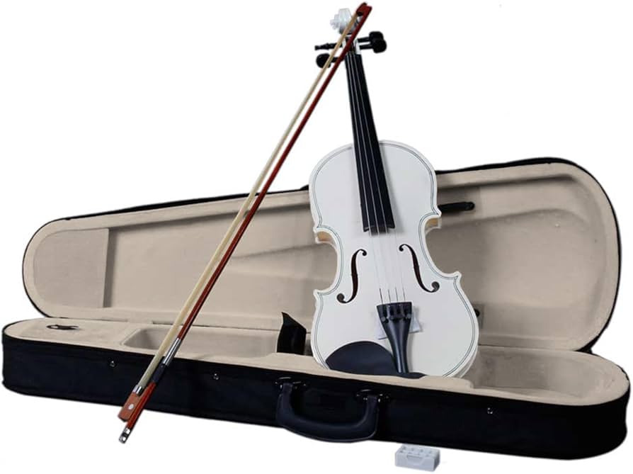 Amazon.com: 4/4 Beginner Violin for Adults,Complete Full Size