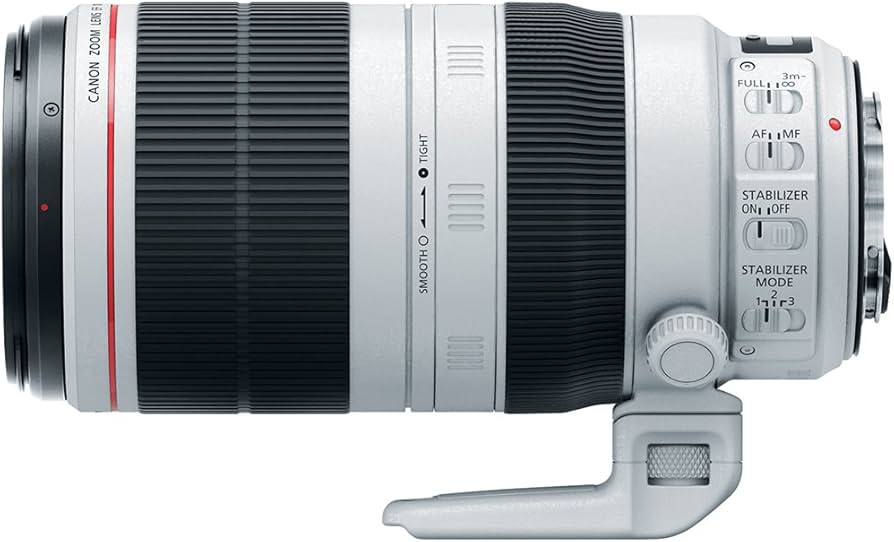 Amazon.com : Canon EF 100-400mm f/4.5-5.6L is II USM Lens