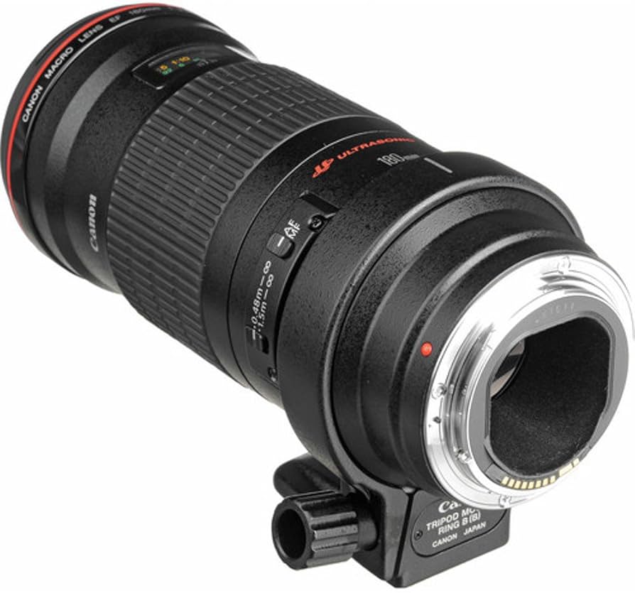 Amazon.com : Canon 180mm F3.5 L AF Macro Lens : Camera Lenses