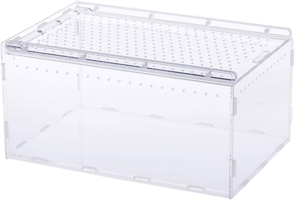 爬虫類 飼育 プレミアム アクリルケ 300×200×155mm セット 爬虫類 飼育