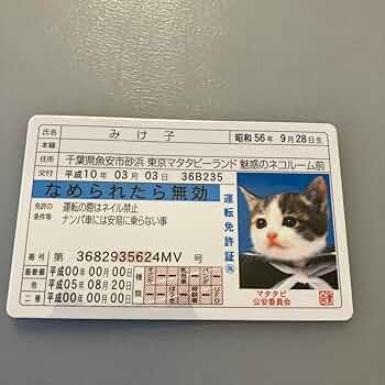 なめ猫カード 価格交渉受付中 なめ猫カード 価格交渉受付中 なめ猫