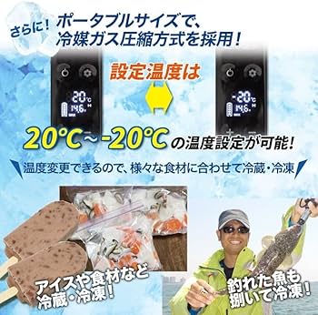 Amazon.co.jp: LIVZA ポータブル冷凍冷蔵庫 (9L) グレー LCH-9DC