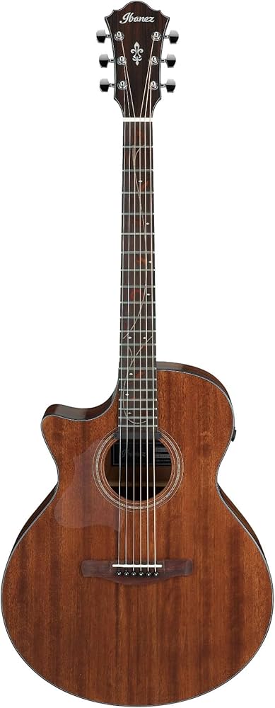 Amazon | Ibanez アイバニーズ AEシリーズ エレクトリック