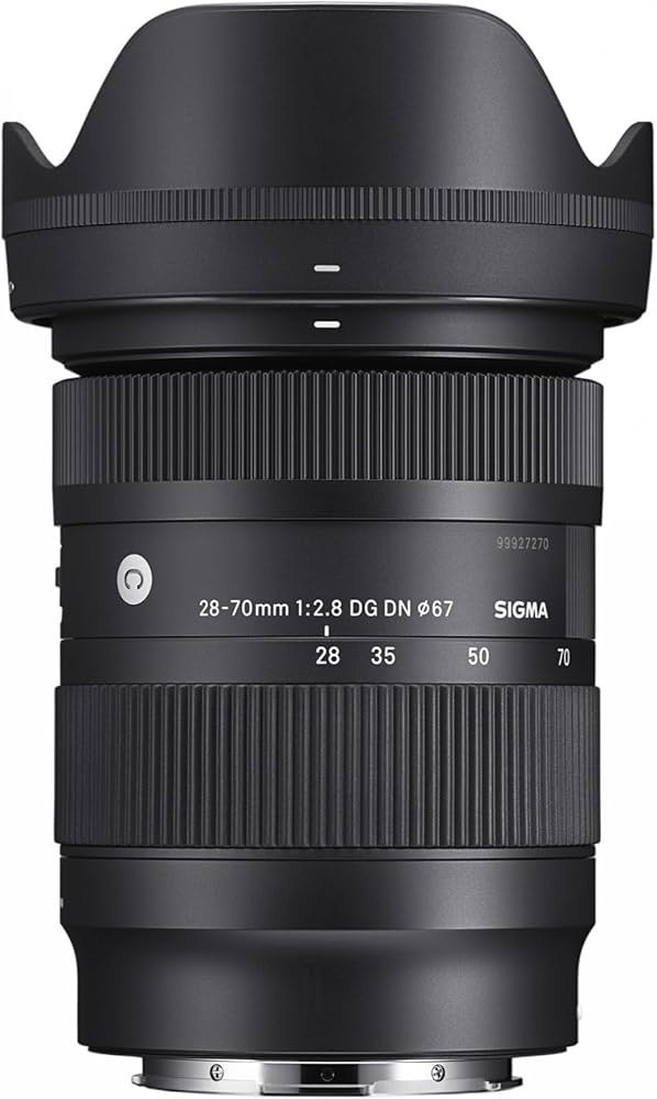Amazon.com : Sigma 28-70mm F2.8 DG DN for L-Mount : Electronics