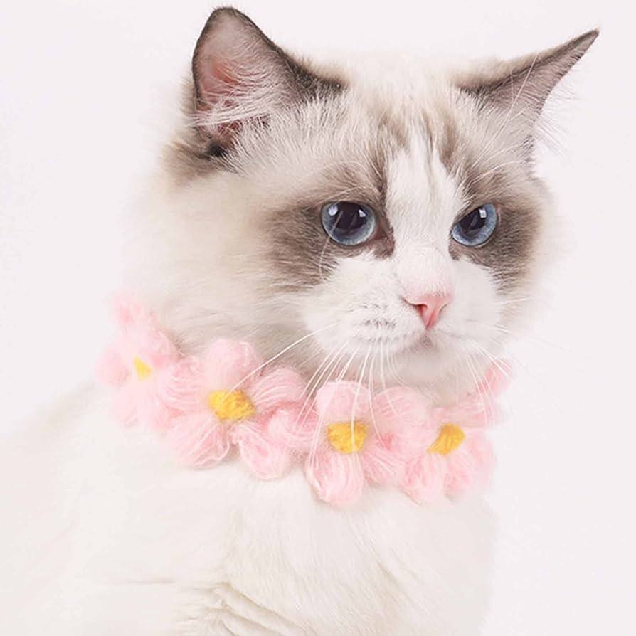 襟つき首輪、ハロウィン限定、スイートロリータ(ピンク)わんちゃん猫