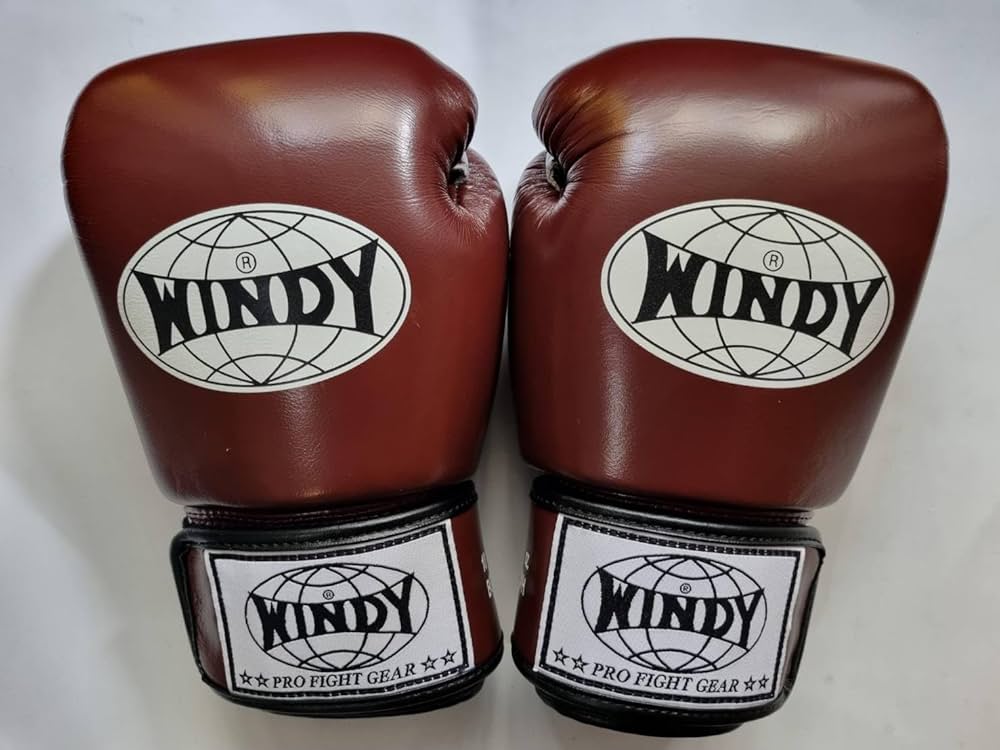 Amazon | ウィンディ WINDY Boxing Glove BGVH ボクシンググローブ 本