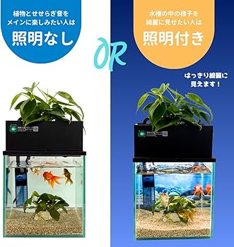 Amazon | せせらぎビオトープ 水替え不要【水槽セット】 20cm型【色