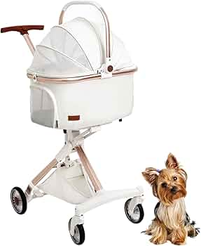 714iXiL6sLL._AC_UF350,