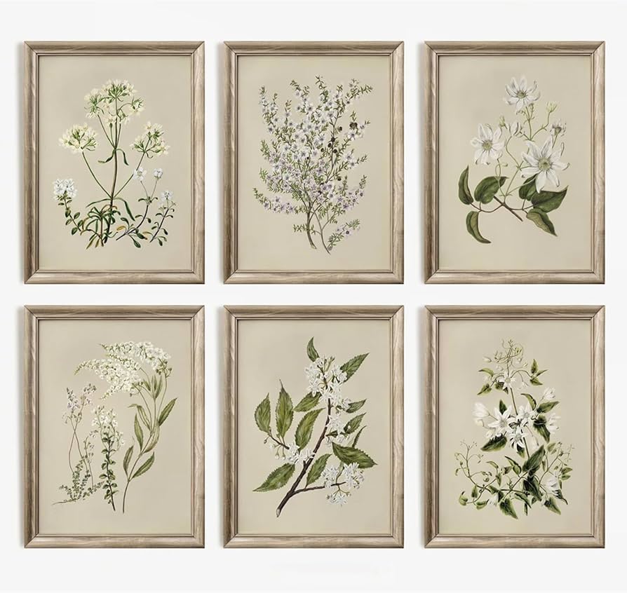 Amazon.com: Vintage Botanical Wall Art Set of 6 Neutral Floral