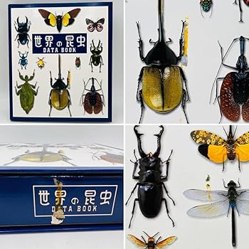 Amazon | 管046/ フィギュア54点 ディアゴスティーニ 世界の昆虫 DATA