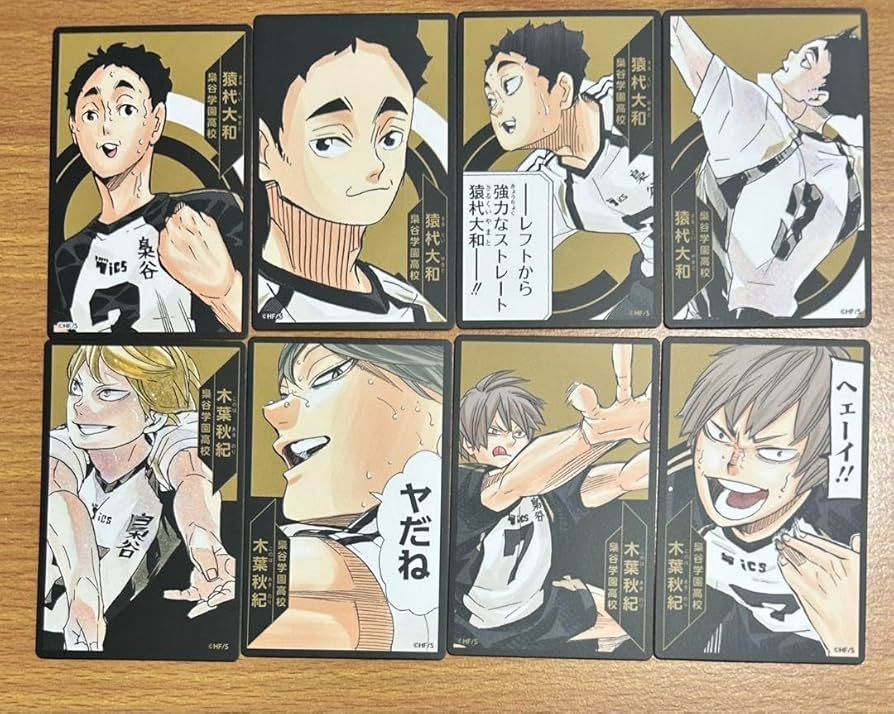 岩泉一 ハイキュー ボドゲ ボードゲーム M109495062ブランド