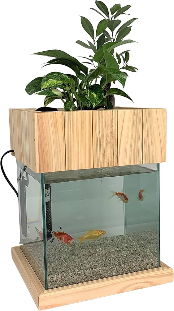 Amazon | せせらぎビオトープ 水替え不要【水槽セット】 25cm型【木枠
