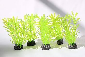 7158JqMQSRL._AC_UF350,