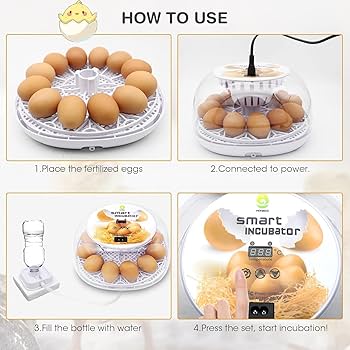 Amazon | インキュベーター 自動孵卵器 孵化器 自動転卵 大容量 12卵