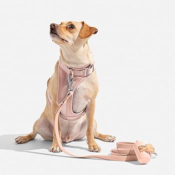 Amazon | ワイルドワン ハーネス 2.0 - ミディアム - ピンク | Wild