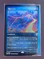 MTG 激情の後見 FOIL 英語 拡張スリーブ付き エッチングFOIL)激情の