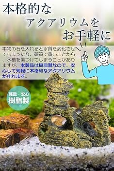 Amazon | AquaLoach アクアローチ アクアリウム オブジェ 水槽 隠れ家