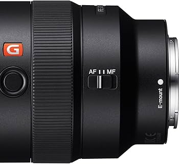 Amazon.com : Sony FE 16–35mm F2.8 GM Wide-Angle Zoom Lens