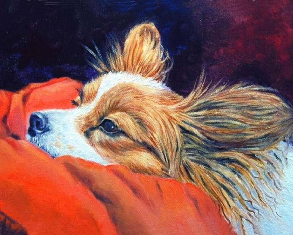 オーダー作品 パピヨン 犬 BAEZ3 オーダー作品 パピヨン 犬 BAEZ3