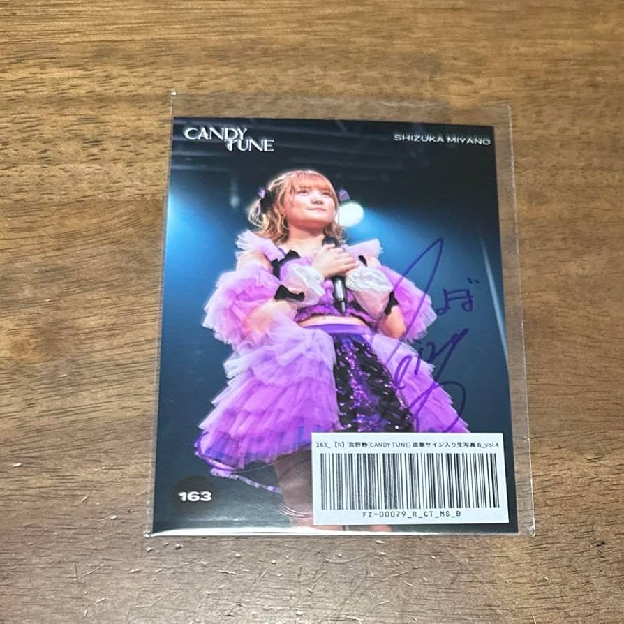 南みゆか 直筆サイン入り アクリル額装ポスター&写真パネル 2点セット 南