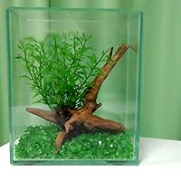 Amazon | 水作 水槽 ショーベタ コレクションケース M サイズ | 水作