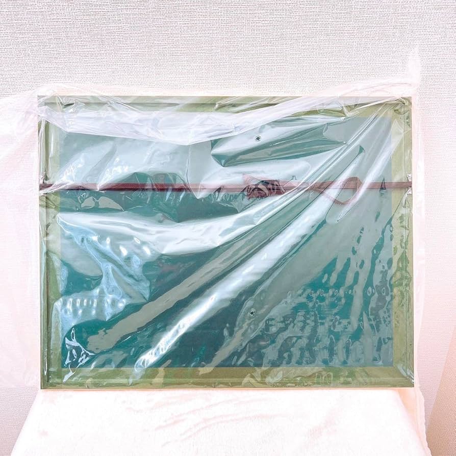 Amazon.co.jp: 中村明日美子 同級生 複製原画 卒業式 サインシリアル