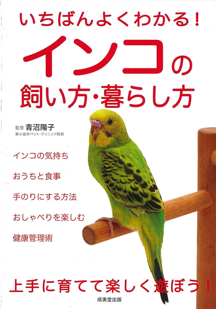 Amazon.co.jp: いちばんよくわかる!インコの飼い方・暮らし方 : 青沼