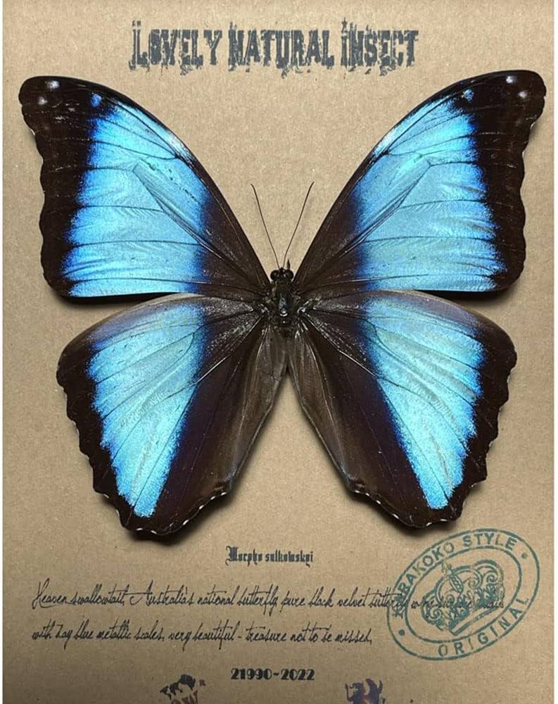 716bZ3fzgjL._AC_UF894,