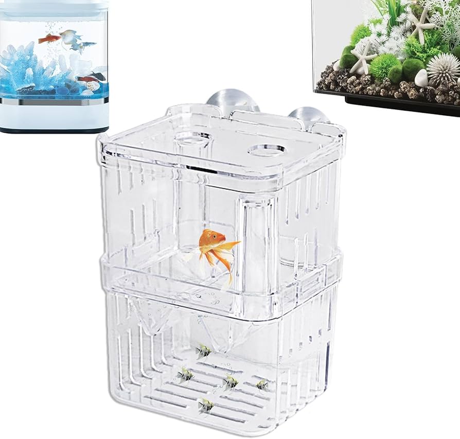 Amazon.co.jp: Luganud水槽用ブリーダーボックス - 産卵飼育ボックス