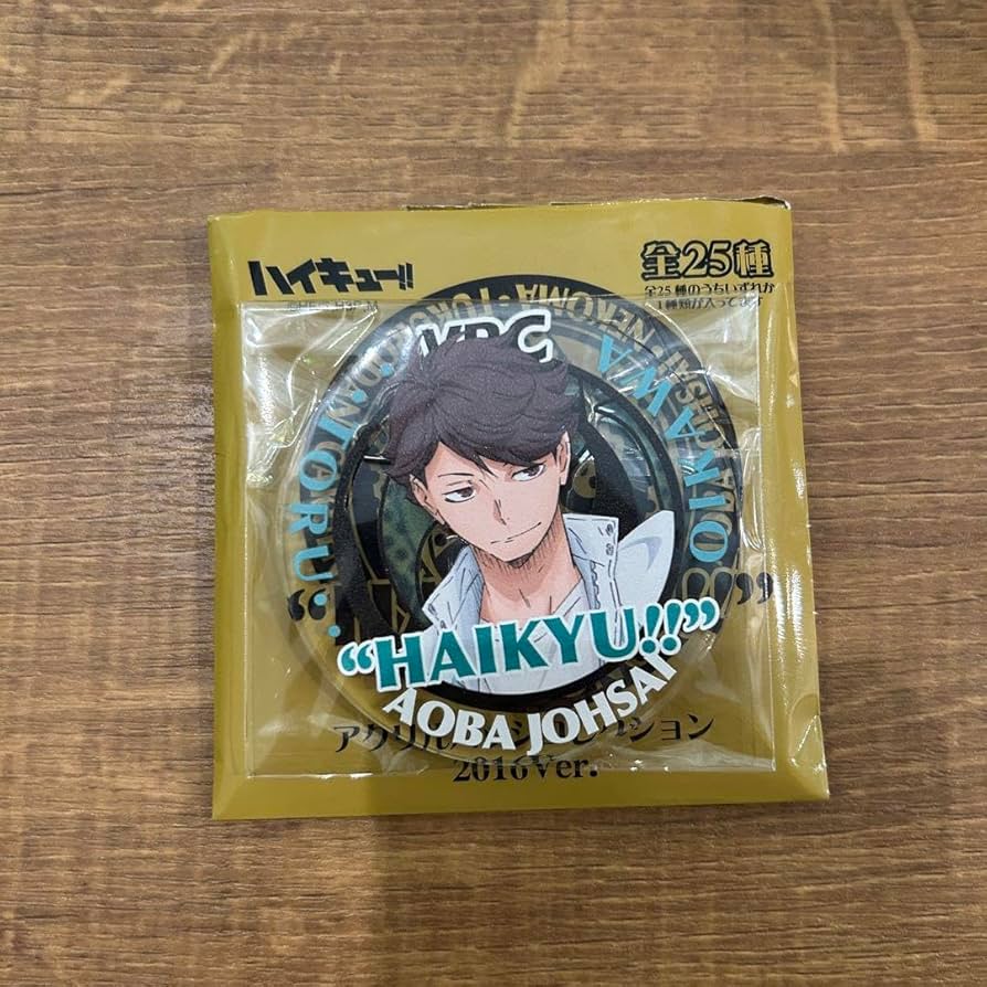 ハイキュー!! アクリルバッジコレクション2016Ver．全25種 10個セット