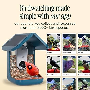 Amazon.com : Birdbuddy PRO Non Solar Smart Bird Feeder with Camera