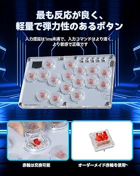 EVO 2025アーケードレバーレス Dタイプ USB接続 12V変換USBハーネス