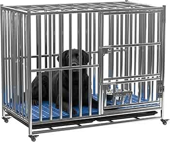 716xlu8-FIL._AC_UF350,