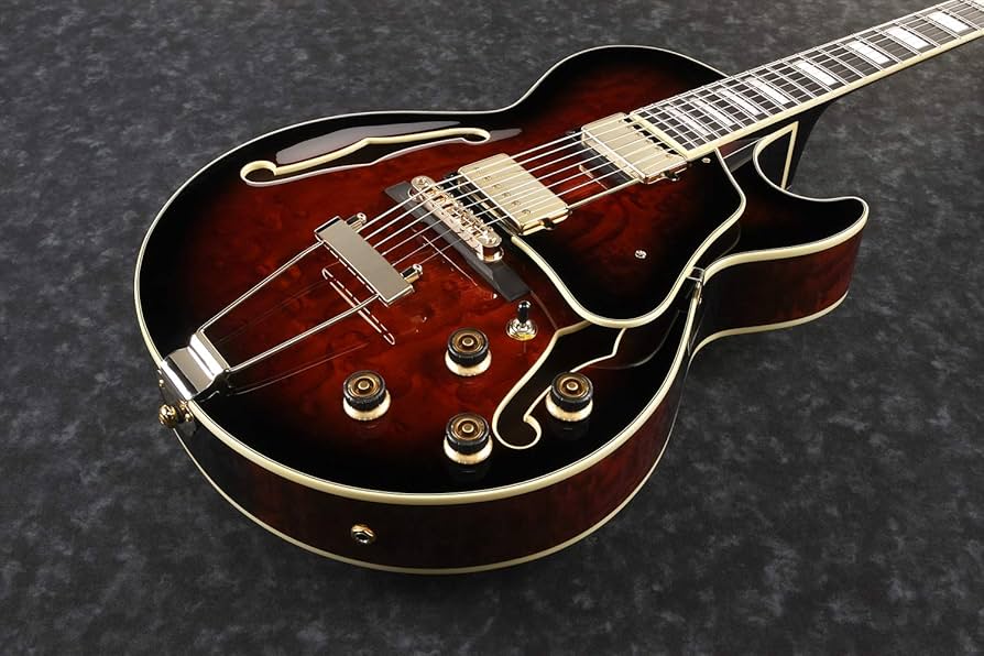 Amazon | Ibanez アイバニーズ Artcoreシリーズ フル・ホロウ・ギター
