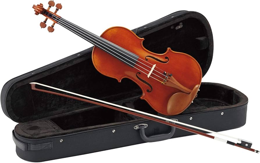 Amazon.co.jp: カルロジョルダーノ バイオリンアウトフィット VS-2 4/4