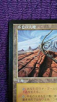 MTG 不毛の大地 日本語 4枚セット MTG 不毛の大地 日本語 4