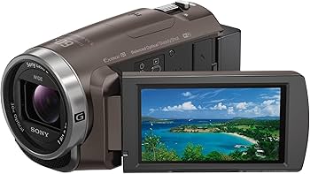 Amazon | SONY(ソニー) ビデオカメラ Handycam 光学30倍 内蔵メモリー