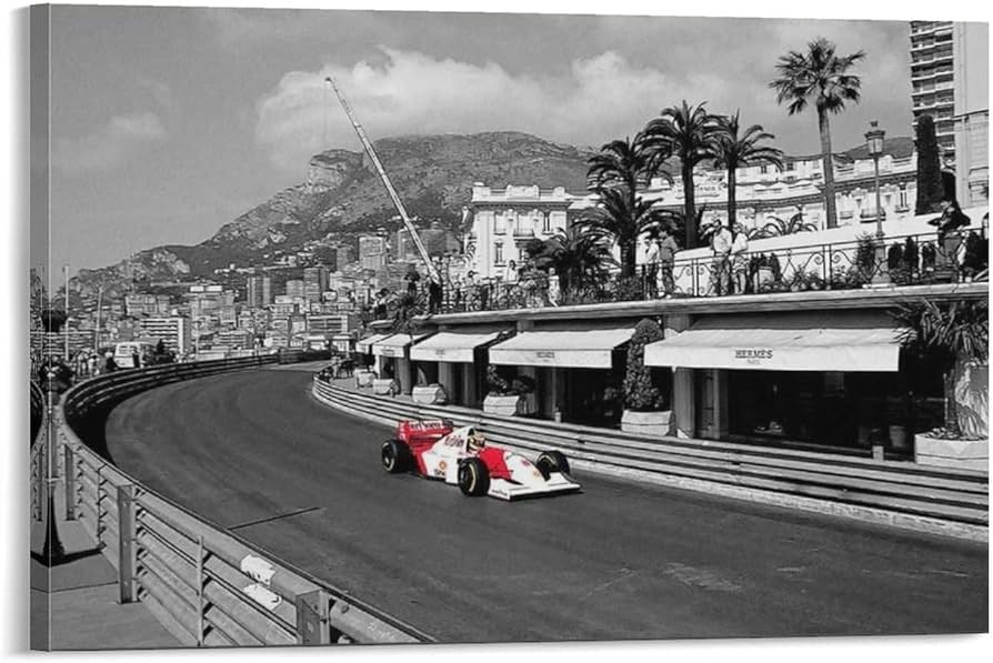 アイルトンセナ 写真パネル2枚セット