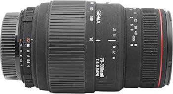 Amazon.com : Sigma 70-300mm f/4-5.6 APO Macro Super Lens for Nikon