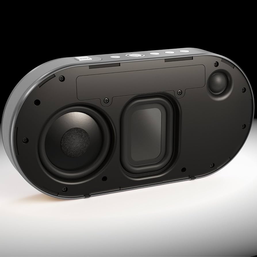 Amazon.com: Dali Katch G2 Portable Bluetooth Speaker (Iron Black