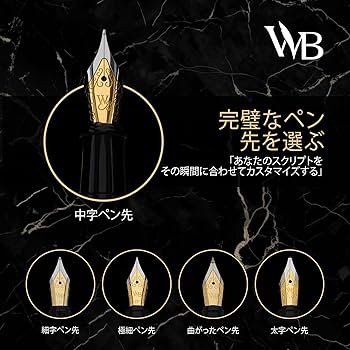 Amazon | ワーズワース＆ブラック万年筆セット、18K 追加 極細ペン先