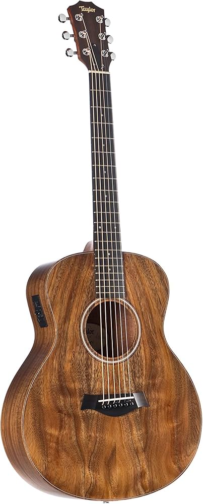 Amazon.com: Taylor GS Mini-e Koa : Musical Instruments