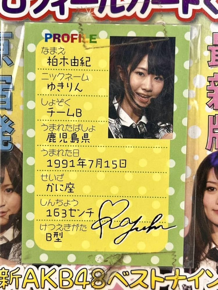 Amazon.co.jp: AKB48 プロフィール カード くじ 30付＋2＋1見本 初期