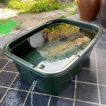 Amazon | 五色アクア メダカ飼育容器 75リットル 深緑（ダークグリーン